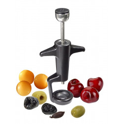LOUIS TELLIER olive and cherry seeder