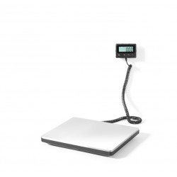 GAMMO kitchen scale - 250 kg