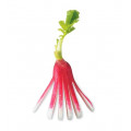 LOUIS TELLIER Gherkin & Radish Slicer - 8 Blades