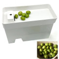 PELAMATIC electric olive cutter