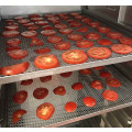GAMMO dryer - dehydrator 11 shelves