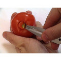 LOUIS TELLIER coring tool for tomatoes