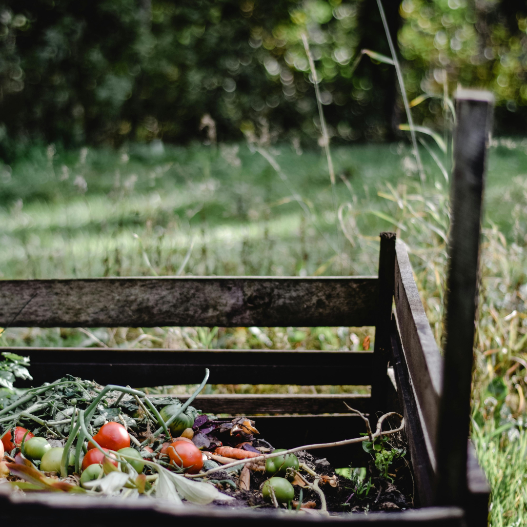 Composting at home? Possible!