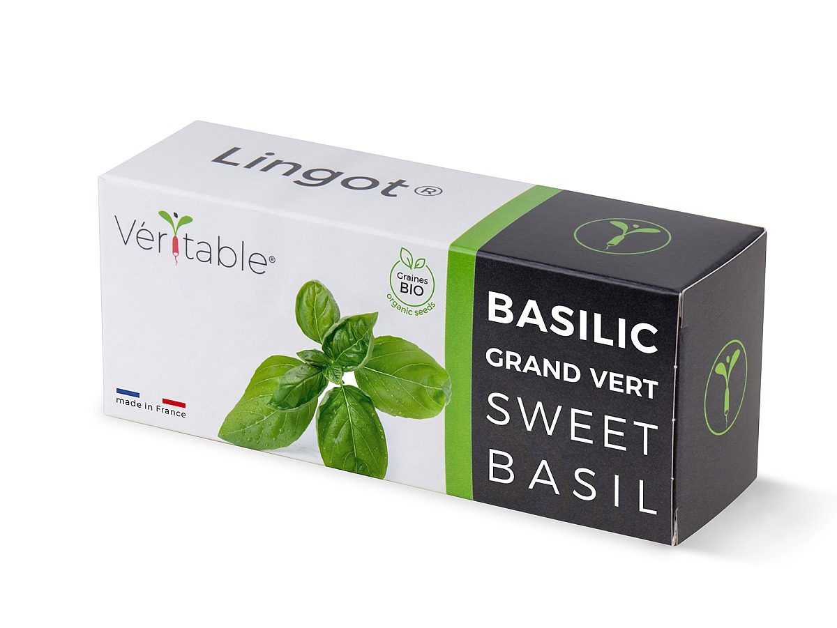 V ritable LINGOT sweet basil seed pack